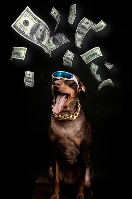 pinscher-8213328_640 Tipping Uber and Lyft Drivers - image 1 dog with money flying around